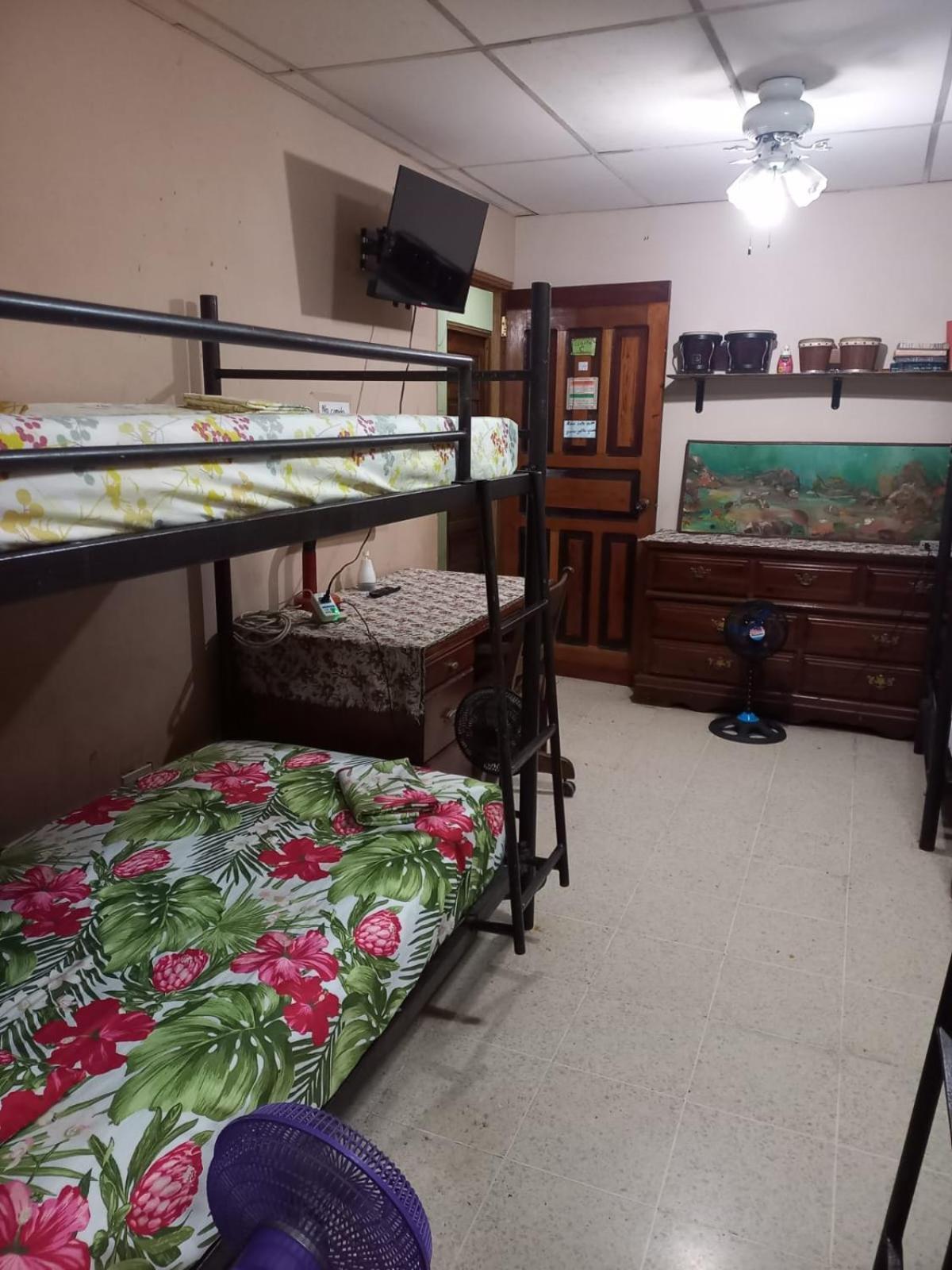 Pacasa Hostel David Kültér fotó