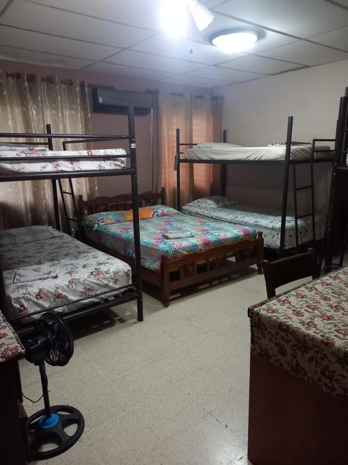 Pacasa Hostel David Kültér fotó