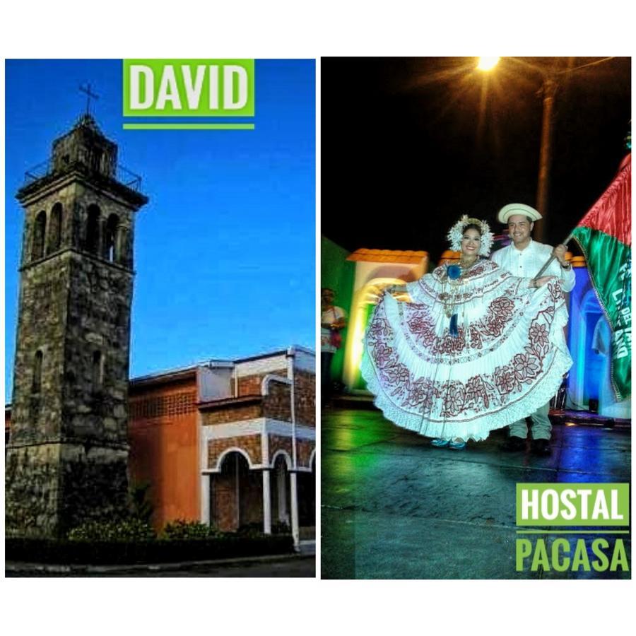 Pacasa Hostel David Kültér fotó